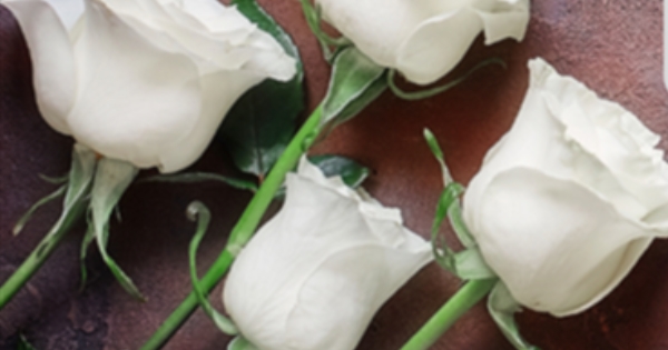 Funeral Mass-Norbert Schierding