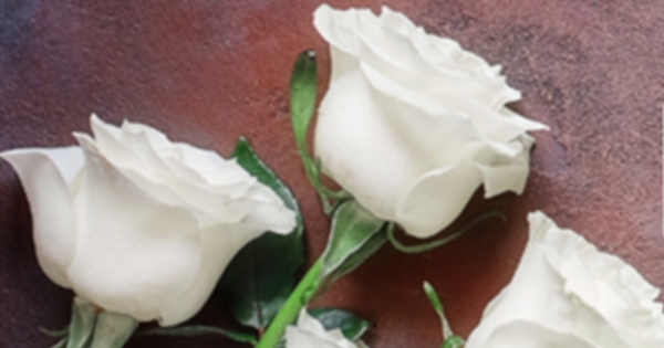 Funeral Mass - Fr. Russell Judge