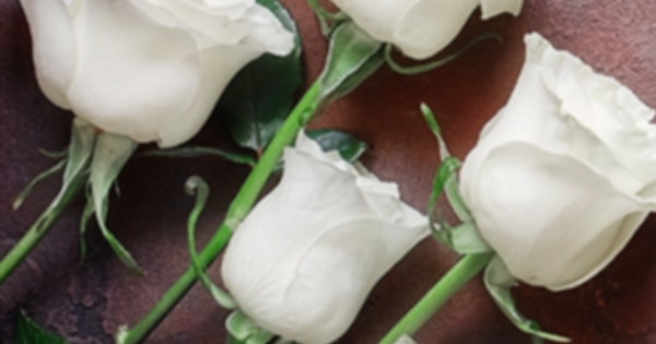 Funeral Mass-Kimmie Dickinson