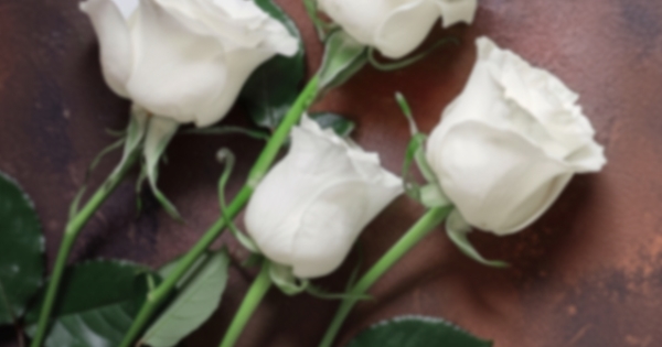 Funeral Mass-Emma VanGennip