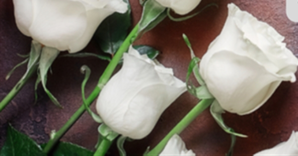 Funeral Mass-Barth Breneman