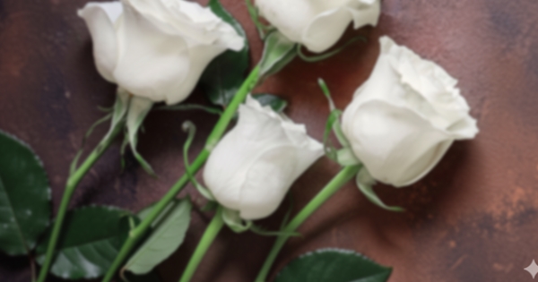 Memorial Mass-Peggy Boschert