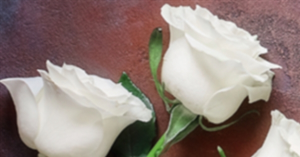 Funeral-Jiri Easley